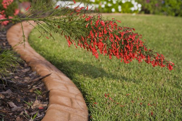 Brick Edging in Rogers