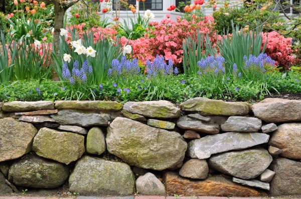 Stone Wall Hardscaping in Rogers