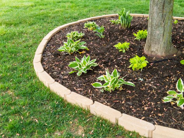Stone Border Installation in Rogers