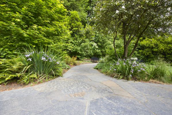 Stone Hardscape Service in Rogers