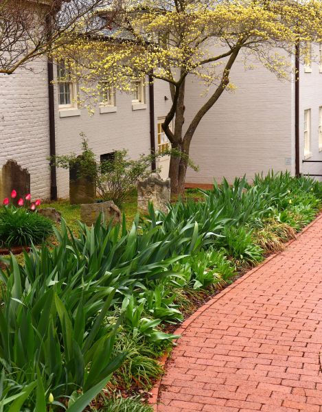 Brick Flatwork Repair in Rogers
